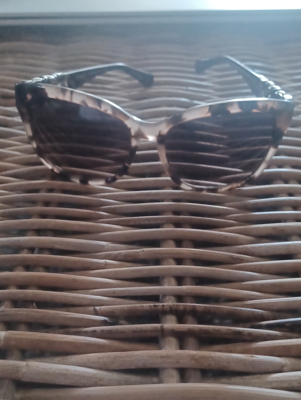 Coach Sunglasses HC8156Q